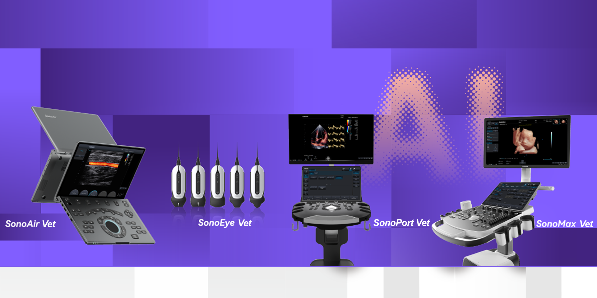banner01
